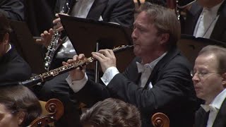 Brahms Symphony No 1 oboe solo Albrecht Mayer [upl. by Baniez]