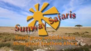 Sunway Safaris Namibia Etosha National Park [upl. by Maribelle606]