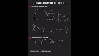 Dehydration of alcohol dehydration of sulfuric acid dehydration of cyclopentanol￼ [upl. by Notgnillew]