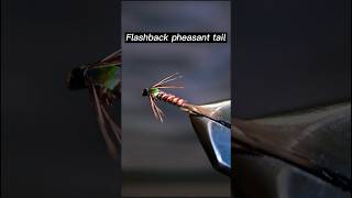 Fly Tying the Flashback Pheasant tail  Fly tying tutorial flytying flashbackpheasanttail fishing [upl. by Ettesel515]