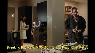 Breaking Bad Review 05x16 quotFelinaquot Reaction amp Recap [upl. by Renaud445]