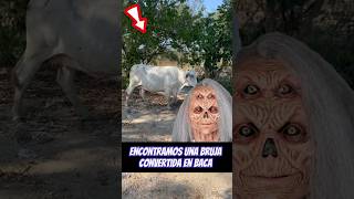 Encontramos una bruja convertida en baca 😱😱😱 [upl. by Cavit]