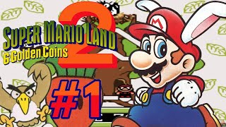 Super Mario Land 2 DX  1 🪙 Tree Zone WT ◇ 100  ◇ HD [upl. by Keung]