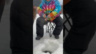 Big stocked Alaskan Arctic char broodstock catch and release ice fishing 24” fish fishalaska fish [upl. by Nirro]