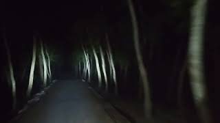 Most Haunted Road [upl. by Eednak871]