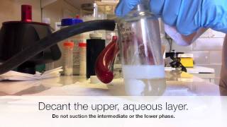 Extraction of E coli K1 Capsular Polysaccharides [upl. by Metzger]