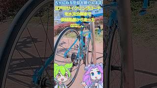 BIANCHI VIA NIRONE7 soraで江戸川サイクリングロードを水元公園まで茨城県側から走ったはなし。ver20241114 1311 [upl. by Colton301]