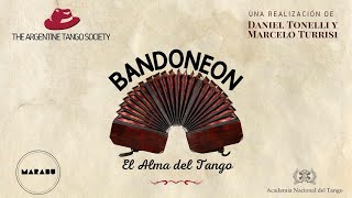 BANDONEÓN el Alma del Tango  Documental 2023 [upl. by Lihkin456]