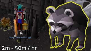 RuneScapes Racoons  Inside HighLevel Looting [upl. by Retsevlis]