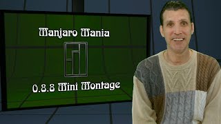 Review  Manjaro 088 [upl. by Engracia216]