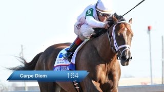 TwinSpirescom Kentucky Derby Contender Profile Carpe Diem [upl. by Kailey]