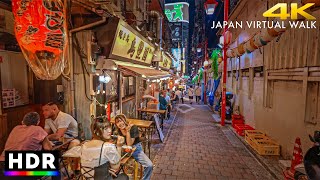 Japan  Tokyo Shinjuku night walk • 4K HDR [upl. by Marie-Jeanne]