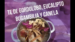 Té de gordolobo bugambilia eucalipto y canela [upl. by Ilyk772]