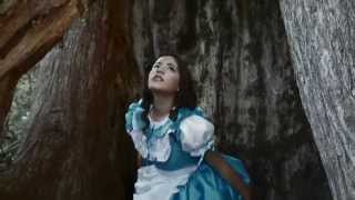 Alice in Wonderland  Alicia en el Pais de las Maravillas  Parodia  Parody [upl. by Nylirehc]