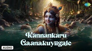 Kannankaru Gaanakuyiigale  Gaanamani P Venkat  Lord Krishnan Songs Tamil [upl. by Curzon]