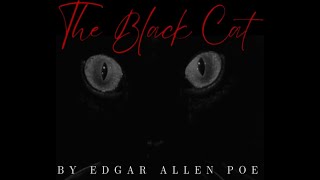 Fin Reads quotThe Black Catquot by Edgar Allan Poe [upl. by Ayaros818]