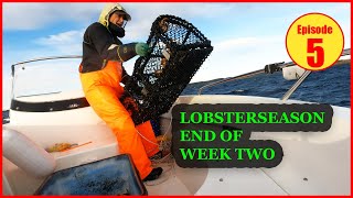 Fishing for LOBSTER off the coast of Norway Hauling the pots in strong winds HUMMERFISKE 2023 [upl. by Ber994]