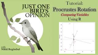 Procrustes Rotation in R Comparing SpeciesVariables [upl. by Roosevelt]