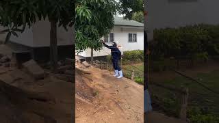 fumigation What smell attracts mosquitoes the most pestcontrolplan [upl. by Coppock]