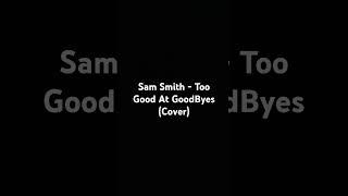 Sam smith  Too Good At GoodByes Cover [upl. by Sanders]