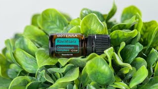 doTERRA Ravintsara 5ml  Translated Subtitles [upl. by Knowle]