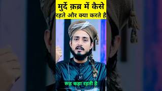 Marhoom ke sath kya hota hai  muftialammadari islamic deen islamicvideo shorts islam [upl. by Mingche468]