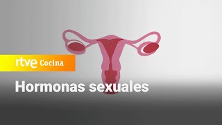 ¿Cómo impactan las hormonas sexuales a la salud  Saber Vivir  RTVE Cocina [upl. by Ias]