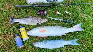 Brown TROUT Redfish and Mullet Catch Smoke and Eat [upl. by Siloum]