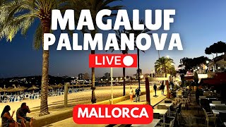 🔴 LIVE Palmanova amp Magaluf Majorca Mallorca  16 September 2023 [upl. by Oknuj577]