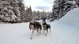 LA GRANDE ODYSSÉE VVF 2024  Lancement de la course [upl. by Rehpotsirhk]