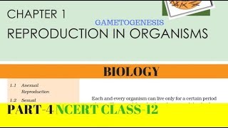 Part4 REPRODUCTION IN ORGANISMS chapter1 NCERT class 12th biology [upl. by Nor]