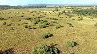 ‘Crystal Vale’ Burnett Highway Bouldercombe Central Queensland [upl. by Auod]