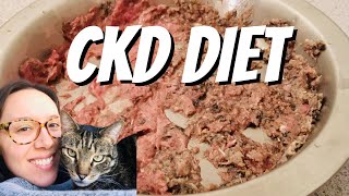 Yes CKD cats can eat raw complete options and easy recipes [upl. by Lemmy]