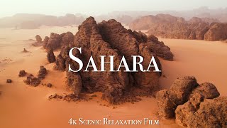 The Sahara 4K  Scenic Relaxation Film With Calming Music [upl. by Mickelson369]