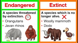 Endangered vs Extinct 🤔  Whats the difference  What causes extinction  How can we help [upl. by Innig84]