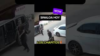 Los chapitos disparan a carro en Sinaloa narcosmexico sinaloa narcos culiacan ejércitomexicano [upl. by Good]