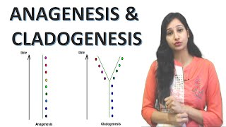 Anagenesis and Cladogenesis I Speciation I Evolution I Lamarckism and Darwinism [upl. by Eciram770]