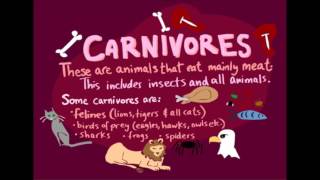 Herbivore Carnivore Omnivore Rap [upl. by Mastat]