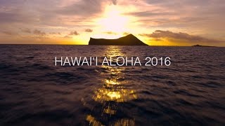 Hawaii Aloha  Song Across Hawaii  Playing For Change Collaboration [upl. by Anirol]