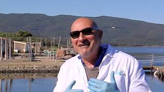 Zonattiva  i pescatori di orbetello [upl. by Itsur]