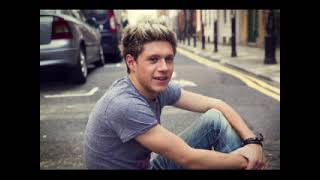 Repercussions Niall Horan Video [upl. by Airdnaz]