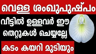 വെള്ള ശംഖുപുഷ്പം വീട്ടിൽ ഉള്ളവർ ഈ തെറ്റുകൾ ചെയ്യല്ലേ കടം കയറി മുടിയും Astrology  vastu [upl. by Anaehr]