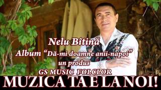 COLAJ ALBUM NELU BITAINA  DAMI DOAMNE ANIINAPOI [upl. by Drabeck]