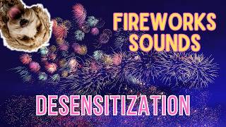 Fireworks Sounds For Dogs  How To Prepare Your Dog For Fireworks [upl. by Ettari]