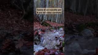 Suoni rilassanti della natura acquachescorre rumoredellacqua ruscello [upl. by Luciana]