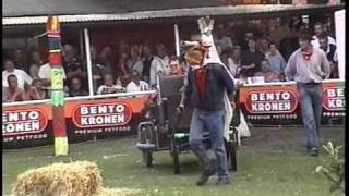 Dances with Malinois 2003wmv [upl. by Esinehc]