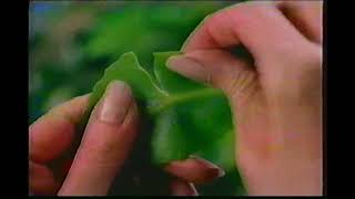 Air Wick Botanicals Air Refresher Spray Commercial  December 16 1993 [upl. by Lowrance]