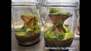 Moss in the glass tankPart 2）  儲物罐中製作苔蘚景觀  No8：20240220 [upl. by Jerrylee]