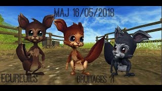 SSO MAJ 16052018 Ecureuils  Nouveaux bruitages [upl. by Surazal]