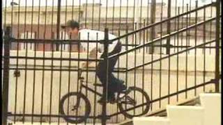 Animal Bmx  Tom White [upl. by Sevart]